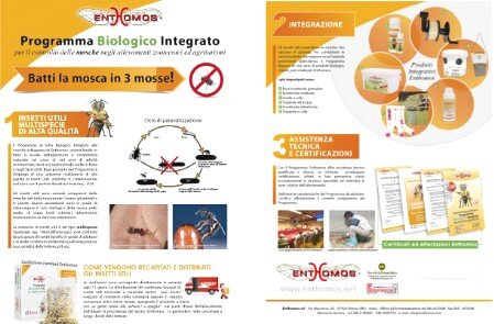 ethomos_controllo mosche_Ecologic Professional Service srl_aprilia